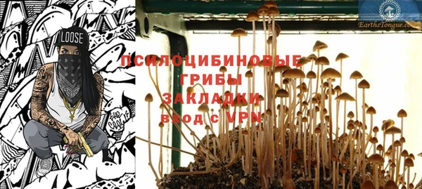 стафф Алексин
